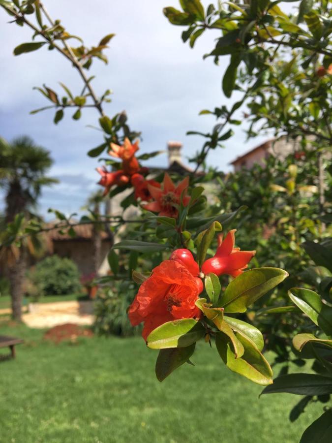 Appartment Hacienda Monica ウマグ エクステリア 写真