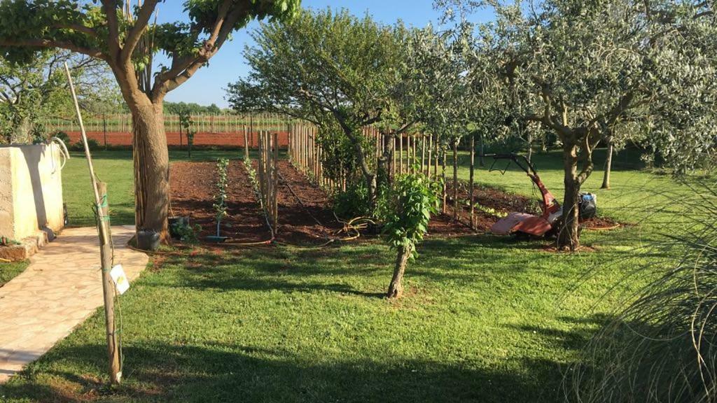 Appartment Hacienda Monica ウマグ エクステリア 写真